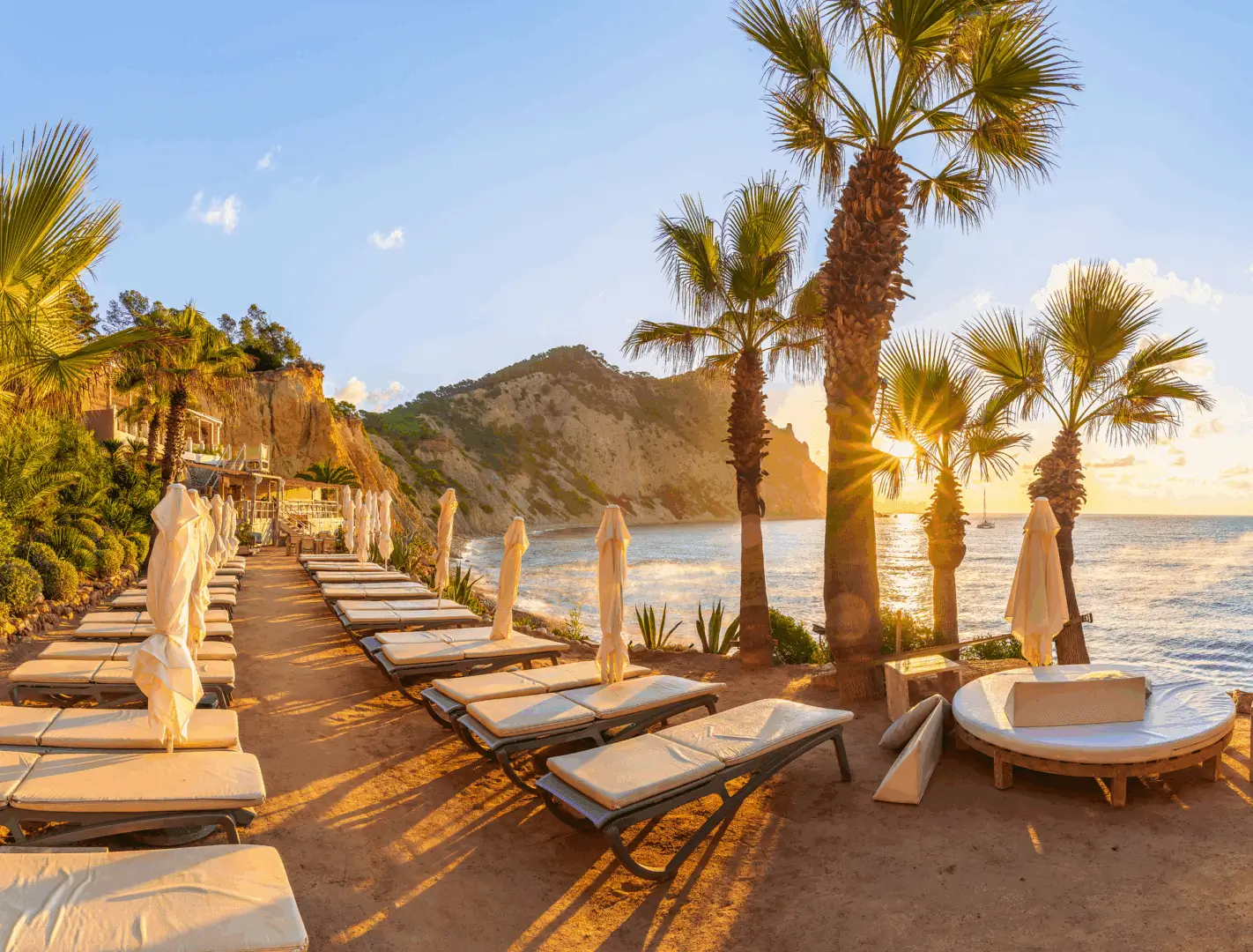 Sunset view of empty beach loungers by palm trees.